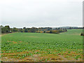 View towards Manor Farm