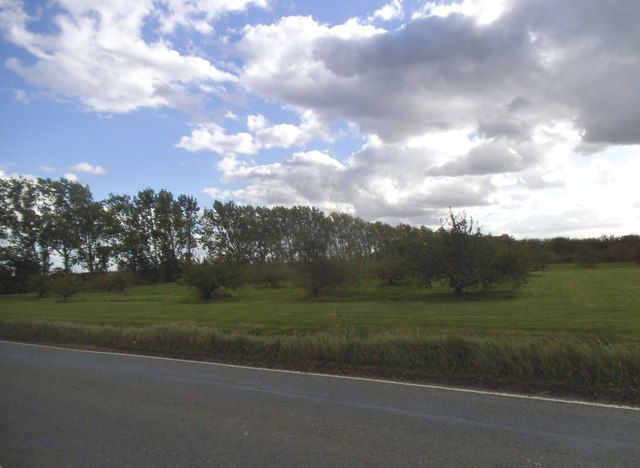 Field by Wilburton Road, Stretham