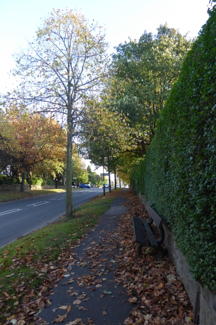 Pavement on Ripon Road