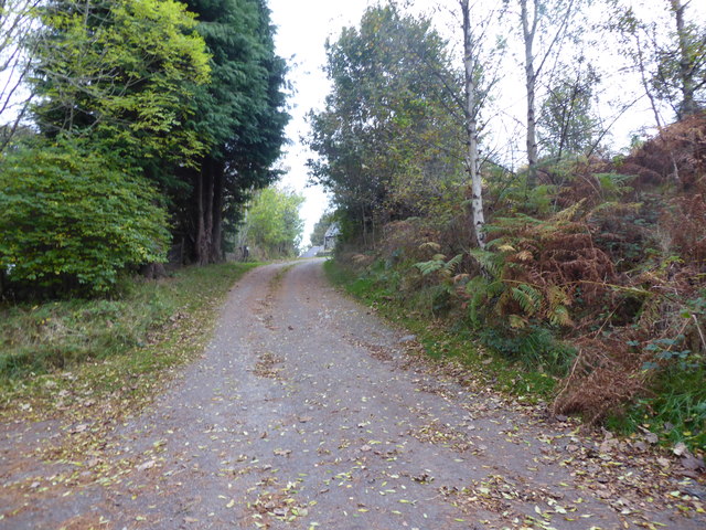 Access road to Brathens Croft
