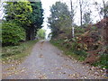 Access road to Brathens Croft