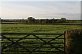 Ridge and furrow field off Hose Lane, Harby