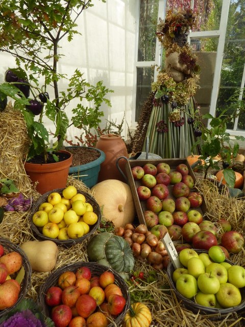 Display of harvest fruit