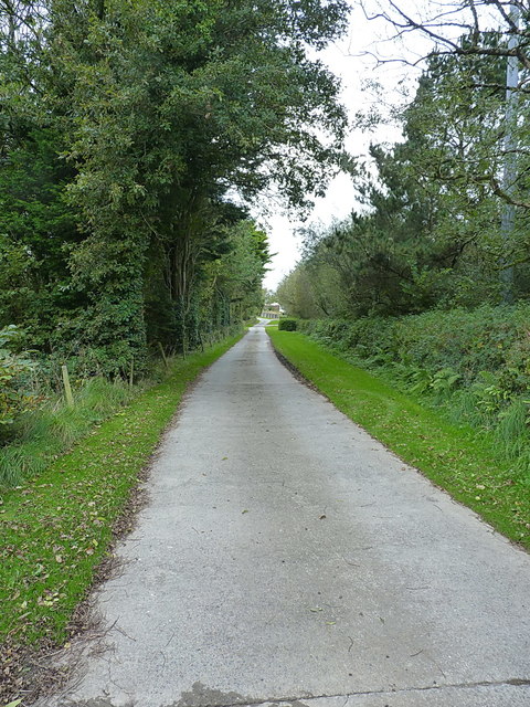 Bridleway and track to Killock Farm