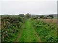 Track to Selhurst Park Farm