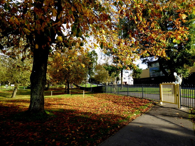 Fallen leaves, The Grange Park, Omagh
