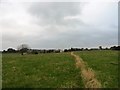 Field path to Hedley on the Hill