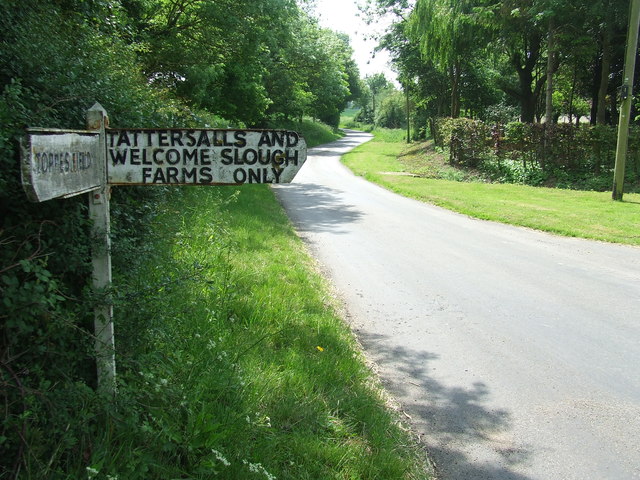 Road Junction Sign