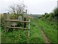 View towards Eartham Wood