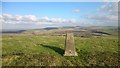 Arundel Park trig point