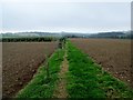 Path between ploughed fields