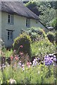 Cottage, Branscombe, 2001