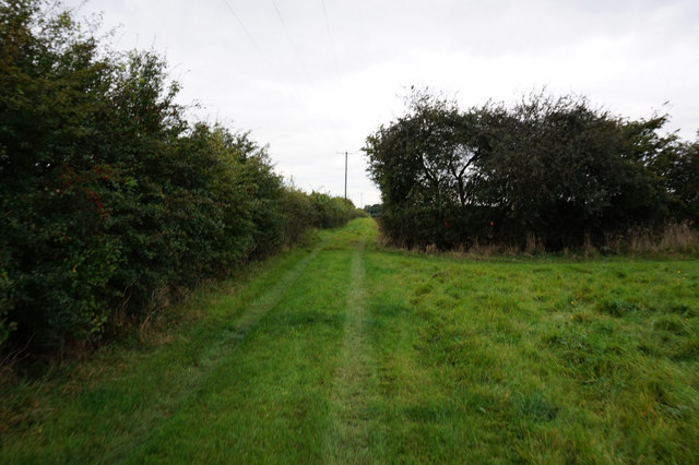Path leading to Westfield Farm