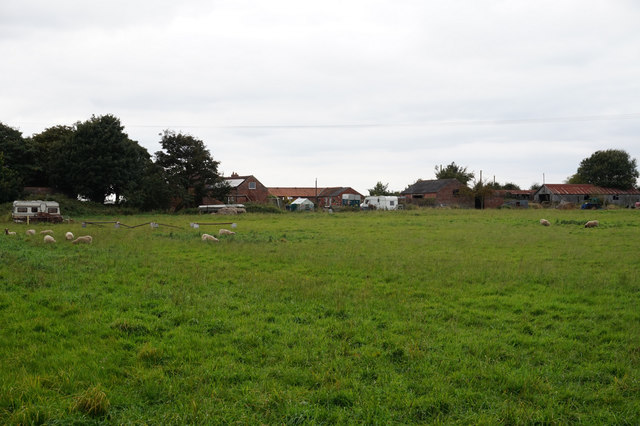 Westfield Farm near East Halton