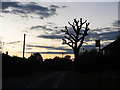 Approaching twilight in Newick