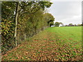 Field side hedge and fence at Sellindge Triangulation Pillar