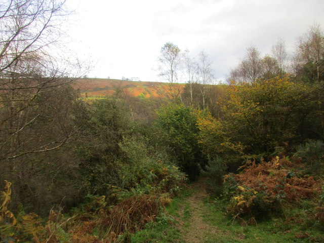 Path through woodland near Levisham station