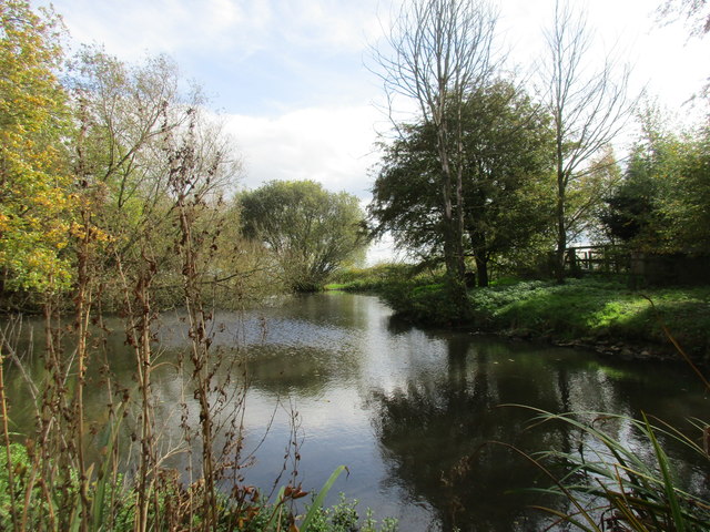 Pond at Riseborough Hall