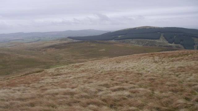 South side of Mellock Hill