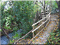 Path through Dingle Wood below the lake