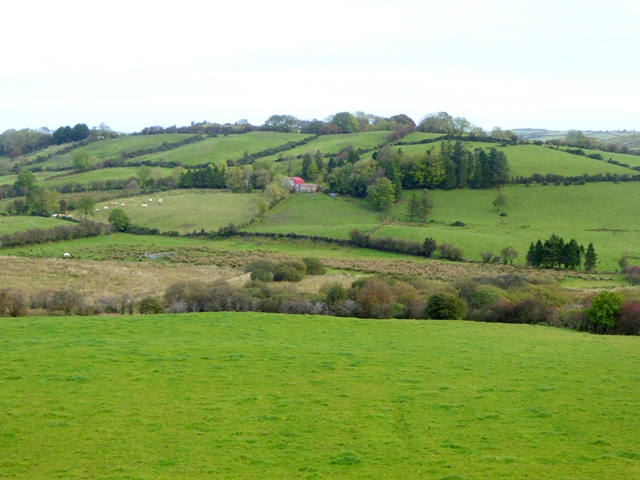 Pattern of fields at Corkish