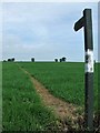 Footpath Over The Horizon