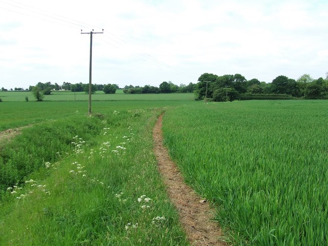 Field Boundary