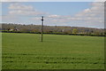SU6168 : Pole in field by N Chadwick