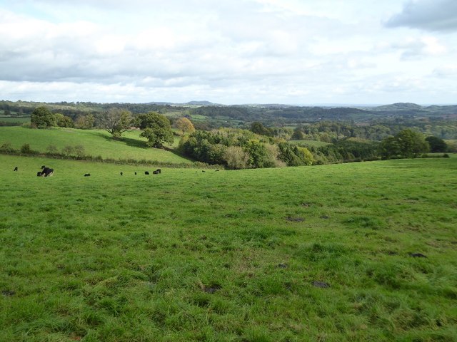 View to the north-east from the Bromyard Downs