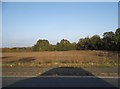 Field by Bedford Road, Holwellbury