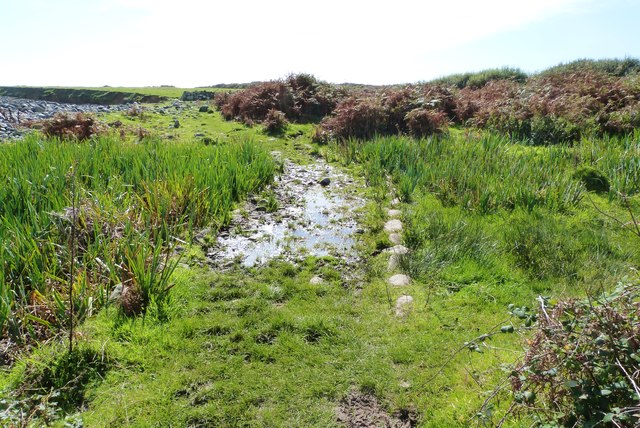 A very wet section of the SW Coast Path at Lowland Point, Cprnwall