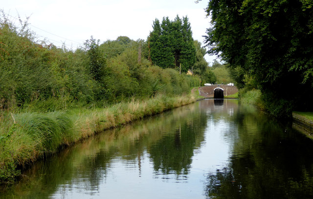 Canal east of Wightwick, Wolverhampton