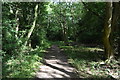 Footpath, Naphill Common