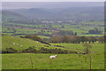 View towards Pontrhydfendigaid