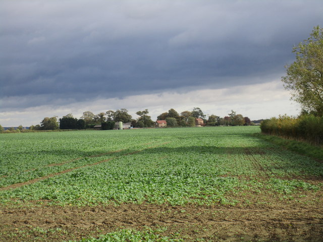 Field of oilseed rape and Howe Farm