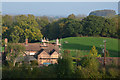 Sedgemoor : Countryside Scenery