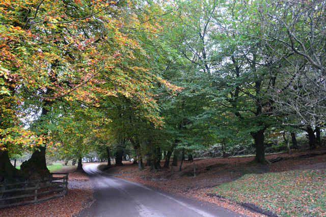 Sedgemoor : Crowcombe Road