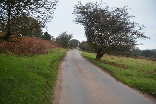 Sedgemoor : Crowcombe Road