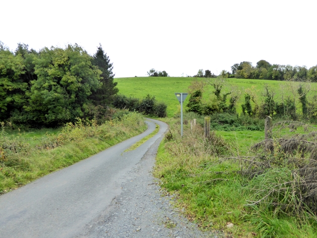 Country lane at Drumlem
