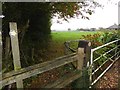 Footpath to Thornwood Common