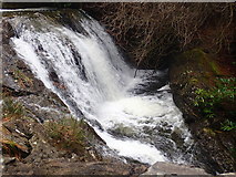 J3629 : Waterfall below Craignagore forestry road bridge by Eric Jones