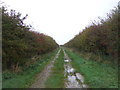 Farm track (byway) towards North Creake