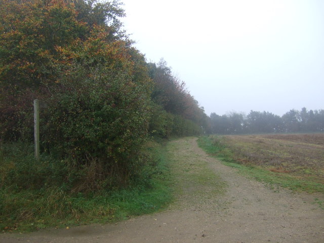 Track (footpath) off Creake Road, Syderstone