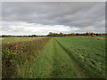 Footpath to Sleaford near Boiling Wells Farm