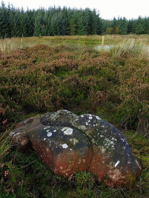 'Curlew stone', finger stone circle, Ladycross Bank Quarry