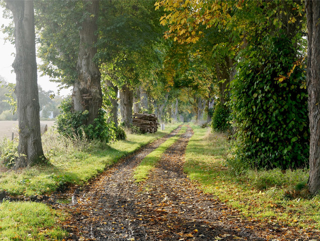 Lower Drive, Rosehaugh Estate © Julian Paren cc-by-sa/2.0 :: Geograph ...