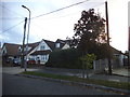 Houses on Lake Avenue, Rainham