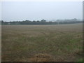 Stubble field near Whin Close Villa