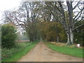 Track to Leicester Square Farm