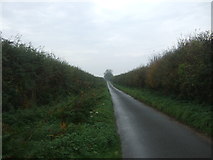 TF8130 : Country lane towards Houghton by JThomas